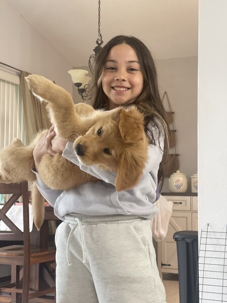 850 Elite 12-1 2026:    R. Sansom